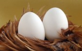 eggs-feathers-easter-hd-wallpaper