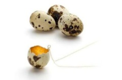 bd0a0-quail-egg-necklace1_blogspot